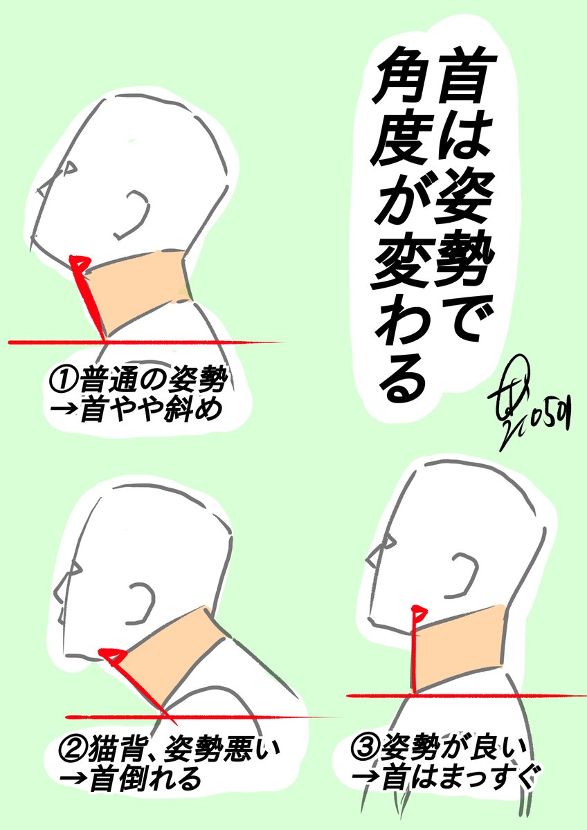 【首は姿勢で角度が変わる】
 ①普通の姿勢で首はやや斜めに傾く
 ②猫背で姿勢が悪いと首はかなり傾く
 ③姿勢を正して胸を張ると首はまっすぐ垂直になる。
 首は頭と胴体の位置関係で常に変わる。
 姿勢によって首の角度を使い分けよう!! 