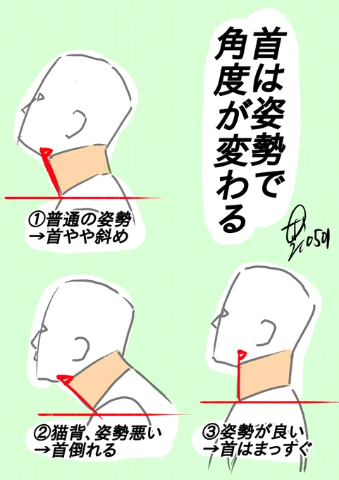 【首は姿勢で角度が変わる】
 ①普通の姿勢で首はやや斜めに傾く
 ②猫背で姿勢が悪いと首はかなり傾く
 ③姿勢を正して胸を張ると首はまっすぐ垂直になる。
 首は頭と胴体の位置関係で常に変わる。
 姿勢によって首の角度を使い分けよう!! 