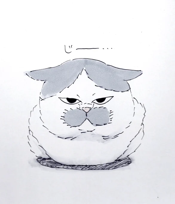 無ニャ…