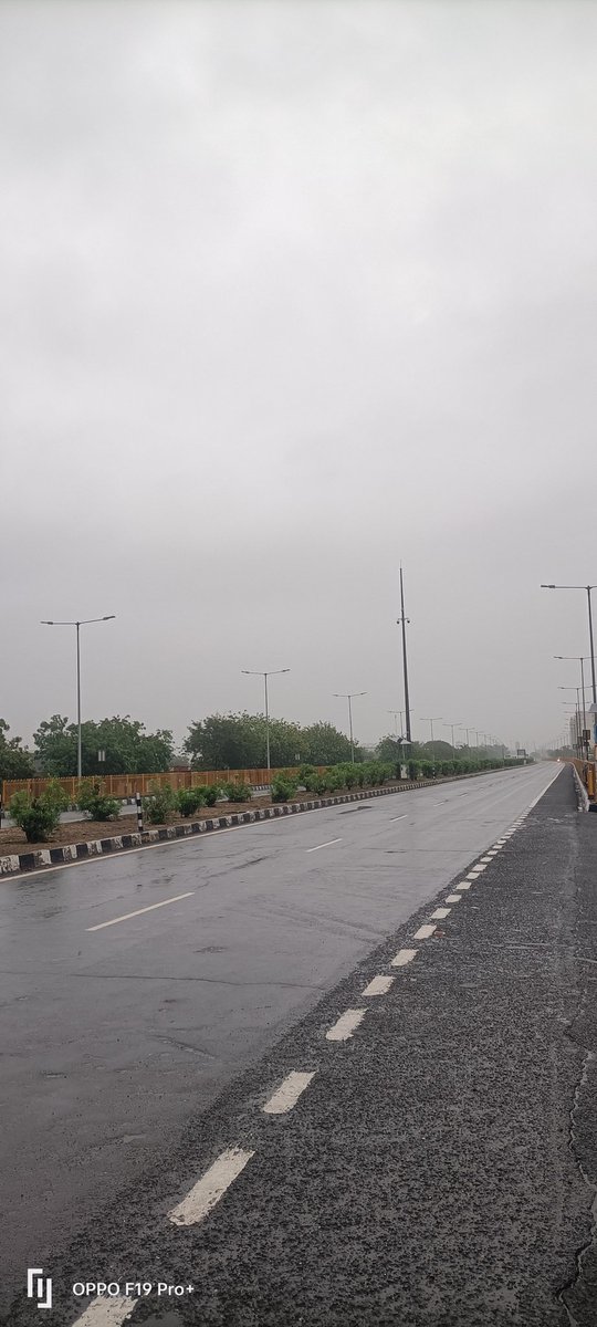 Good morning friends 🌺