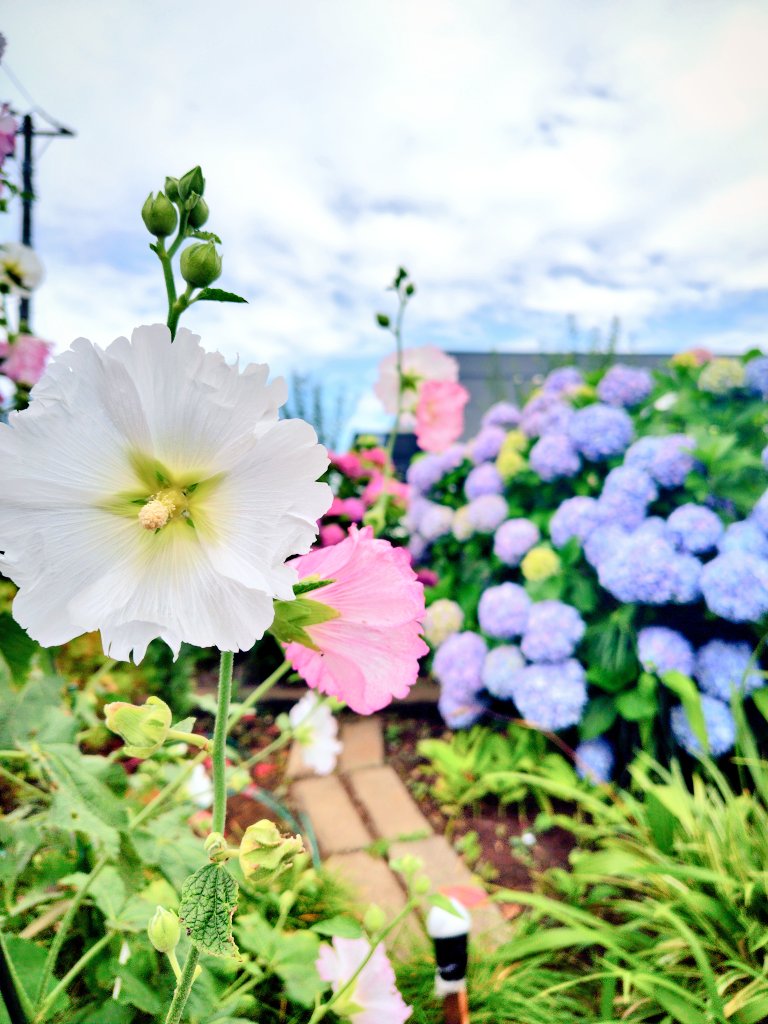 mapletree9887's tweet image. 暑い日が続きますねー🫠
まだ体が暑さに慣れてないので、
無理せず過ごしていきましょう͛💠