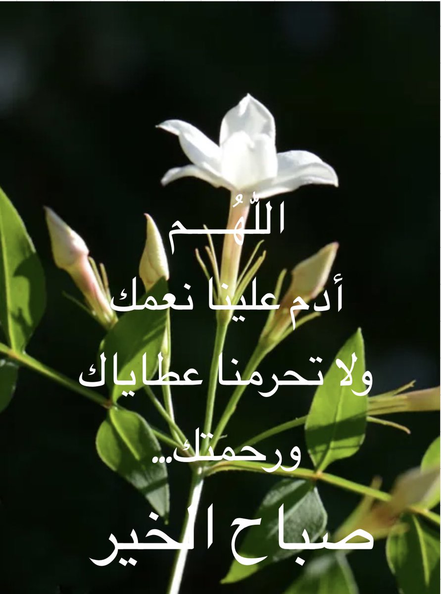 ....🤍

✍️،،،:”اللّٰهُــــم أدم علينا نعمك ولا تحرمنا عطاياك ورحمتك“..🤍

#صباح___الخير..🌹