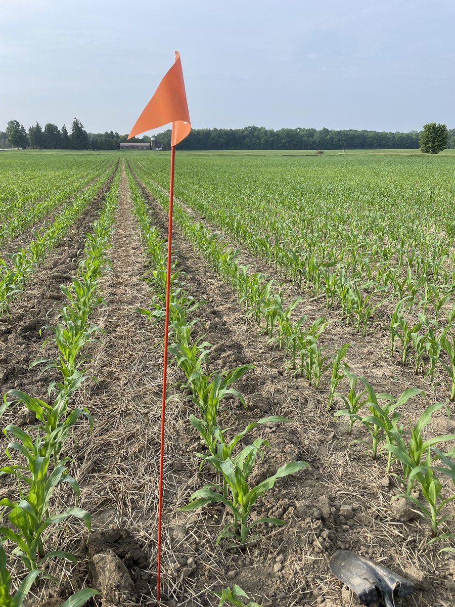 Danny Jefferies tweet media