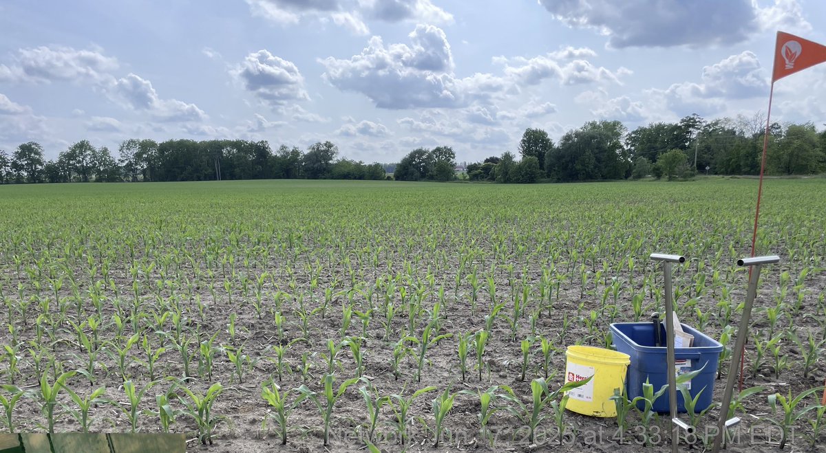 Danny Jefferies tweet media