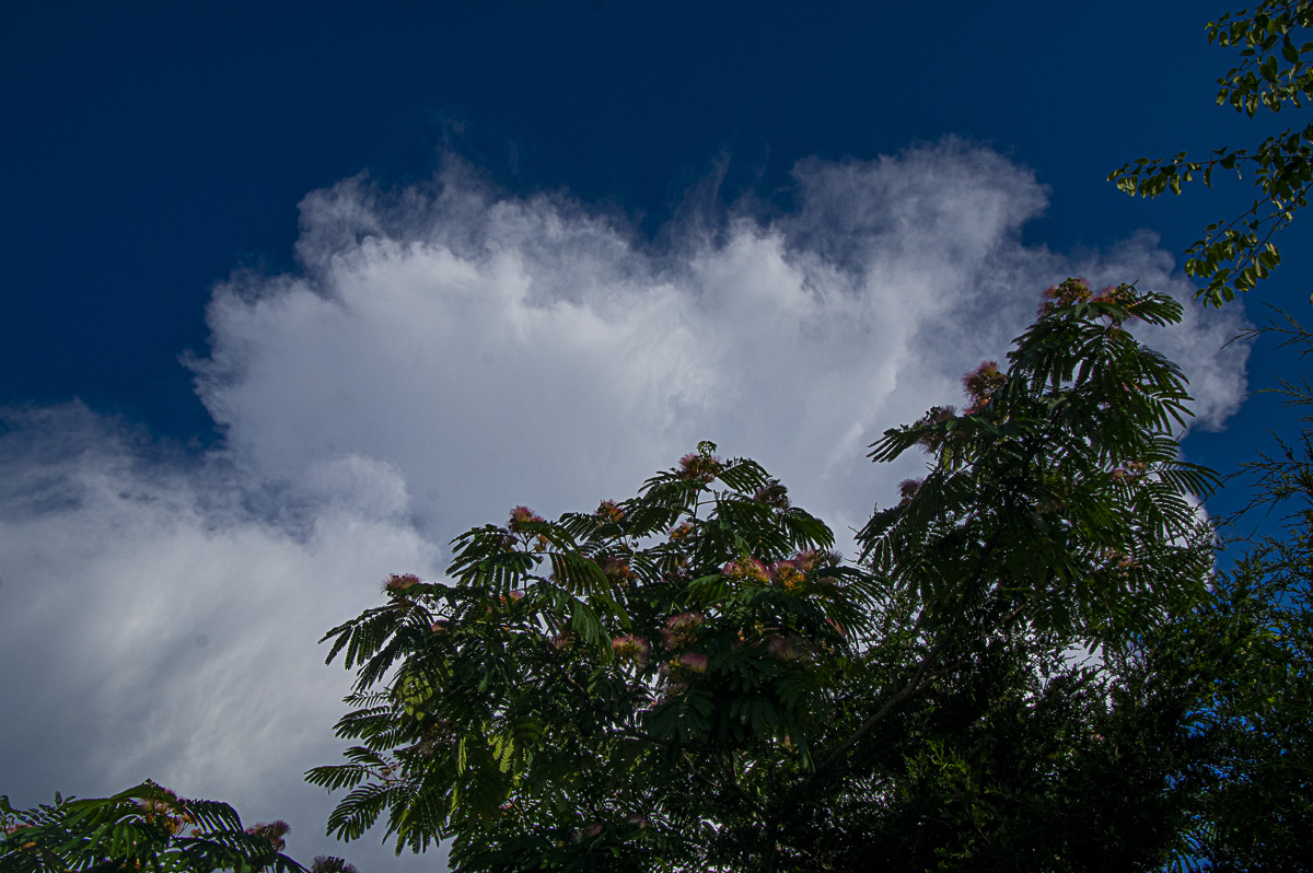 x3441718's tweet image. Banger of a storm in Greene County this afternoon
