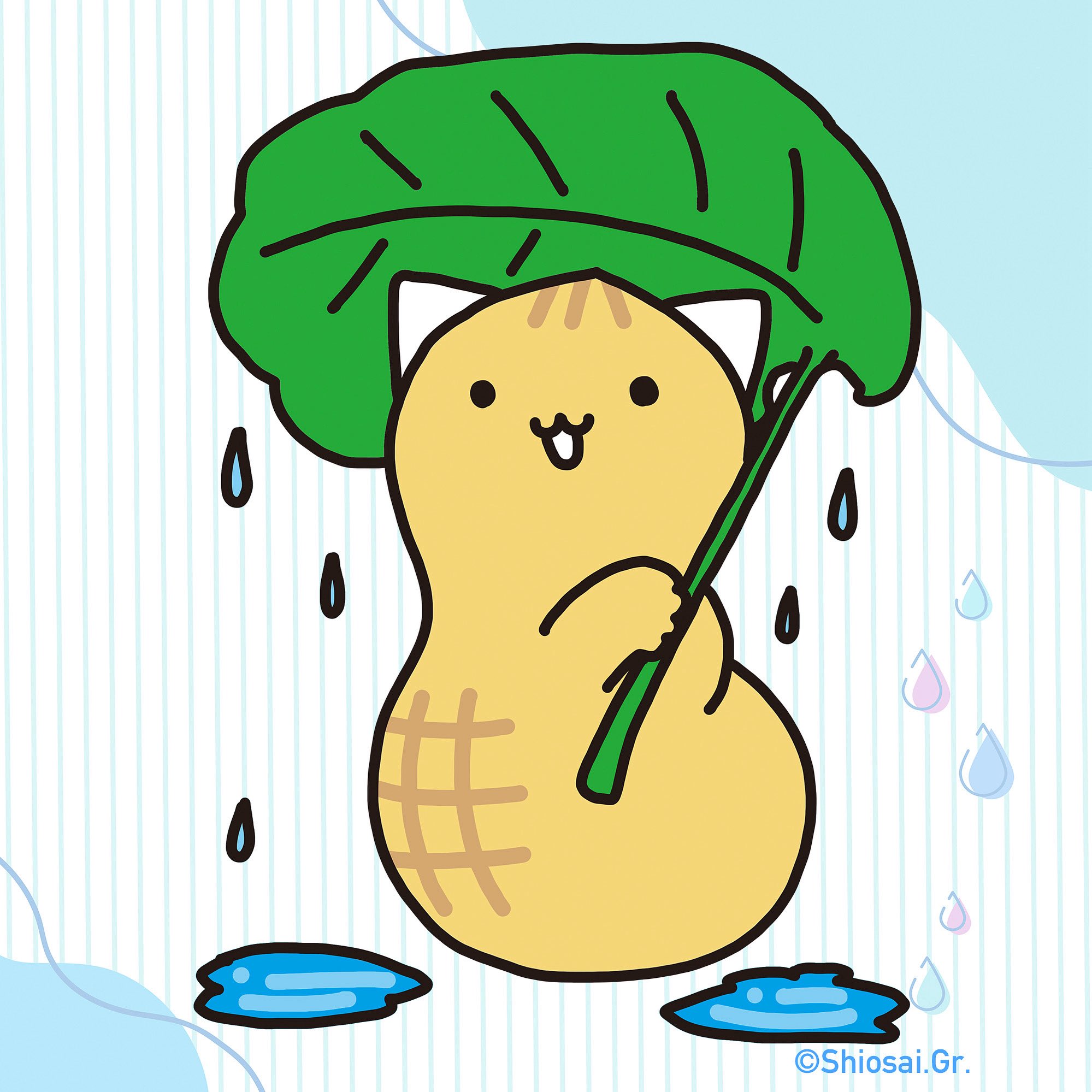 Amazon.co.jp: ぴーにゃっつ もちもちまくら 千葉 土産