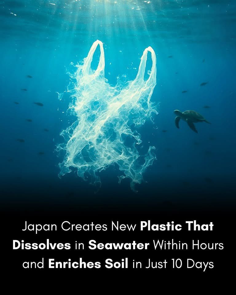 Japan may have created a new plastic that dissolves in seawater within hours and enriches soil in just 10 days! A game-changer for ocean health and sustainability. #TeachSDGs #SDG14 #SDG15 #EcoInnovation