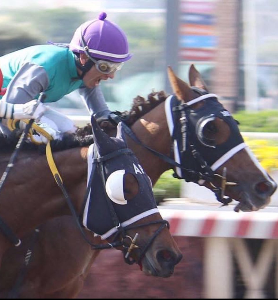 STUD DOÑA ESTER tweet media