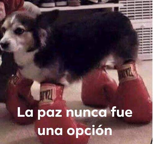 Amigo, lo de la cuenta oficial de IRAN haciendo edits de como literalmente bombardean un país, me parece de lo más surrealista de este año