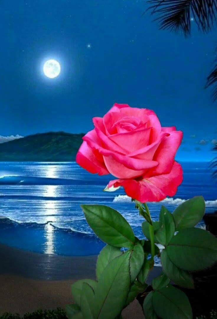 💝❤️🩹❣️راشد جمال الدحلاني❣️❤️🩹💝 (@rash160896) on Twitter photo السلام وعليكم ورحمة الله وبركاته ❤️
Good night, Sweet dream's. X 💎 Gem's
Without commitment, you'll never start.
Without consistency, you'll never finish.
<a href="/AAhmad7535/">A,ahmad. احمد ,A</a> <a href="/Aafrin7866/">Aafrin</a> <a href="/1200aley/">ɪᴹ᭄☛𝓐𝓵𝓲𝔂𝓪 🌙</a> <a href="/Kom_6K/">کومل_ناز</a> <a href="/_itx_Z/">༺✯𝙥𝙧𝙞𝙣𝙘𝙚𝙨𝙨✯༺</a> <a href="/1Amalkhan/">AMAL KHAN 🥀</a> <a href="/Ifra__khan/">Ifra khan 🕊</a> <a href="/KHAN_ZADI_0/">🦋𝐌𝐬.ᴄʜᴀꜱʜᴍɪꜱʜ🦋</a> <a href="/saimr3/">सैफ 🇮🇳 INC</a> <a href="/AizaKhan165/">Aiza Khan</a> <a href="/KarRiz45/">khursheed</a> السلام وعليكم ورحمة الله وبركاته ❤️
Good night, Sweet dream's. X 💎 Gem's
Without commitment, you'll never start.
Without consistency, you'll never finish.
<a href="/AAhmad7535/">A,ahmad. احمد ,A</a> <a href="/Aafrin7866/">Aafrin</a> <a href="/1200aley/">ɪᴹ᭄☛𝓐𝓵𝓲𝔂𝓪 🌙</a> <a href="/Kom_6K/">کومل_ناز</a> <a href="/_itx_Z/">༺✯𝙥𝙧𝙞𝙣𝙘𝙚𝙨𝙨✯༺</a> <a href="/1Amalkhan/">AMAL KHAN 🥀</a> <a href="/Ifra__khan/">Ifra khan 🕊</a> <a href="/KHAN_ZADI_0/">🦋𝐌𝐬.ᴄʜᴀꜱʜᴍɪꜱʜ🦋</a> <a href="/saimr3/">सैफ 🇮🇳 INC</a> <a href="/AizaKhan165/">Aiza Khan</a> <a href="/KarRiz45/">khursheed</a>