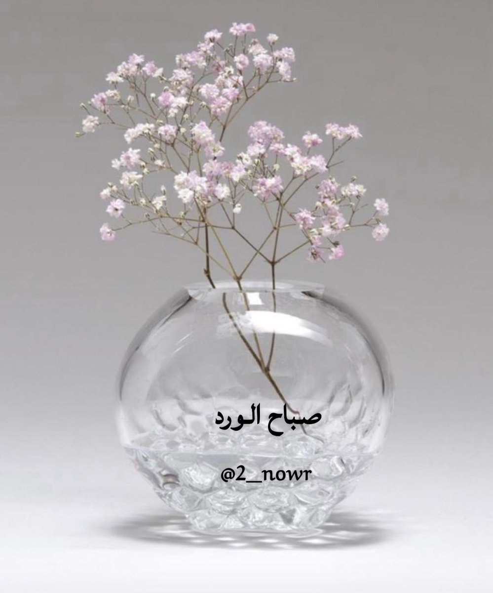  noor tweet media
