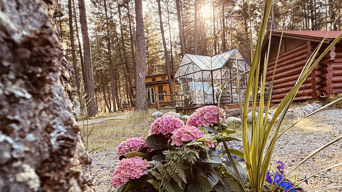 Perfect moments in the Boundary...