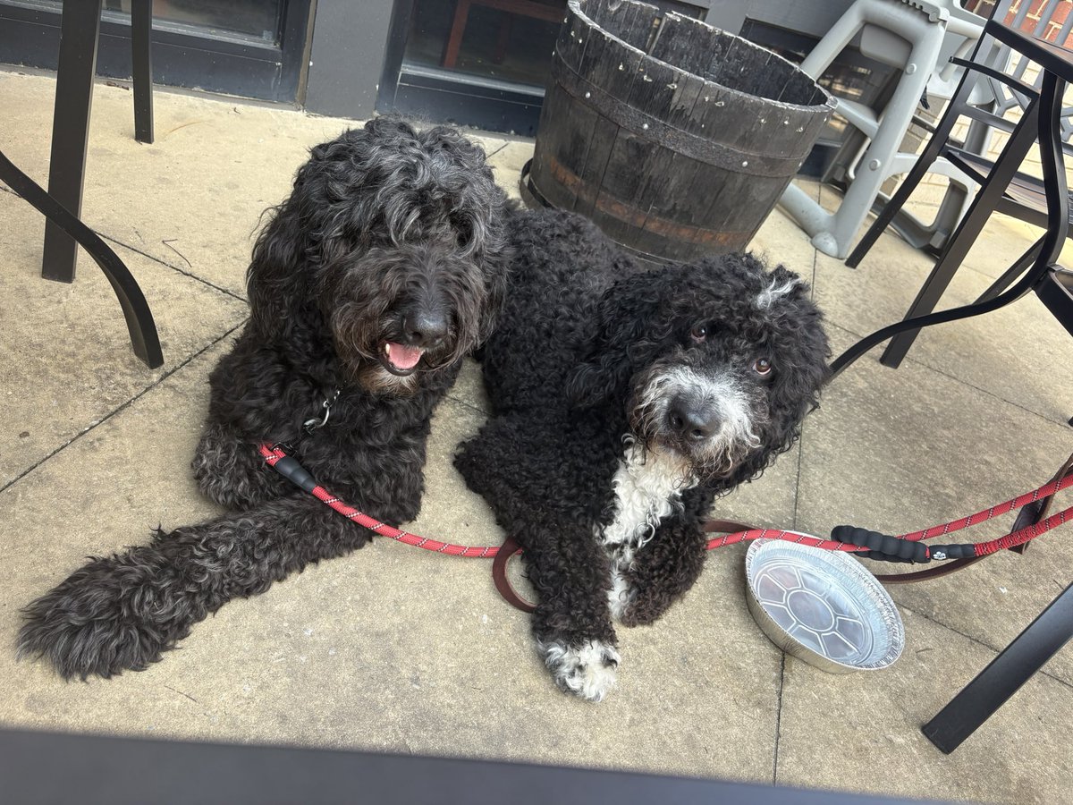 <a href="/theAUSLofficial/">AUSL</a> princess and kylo