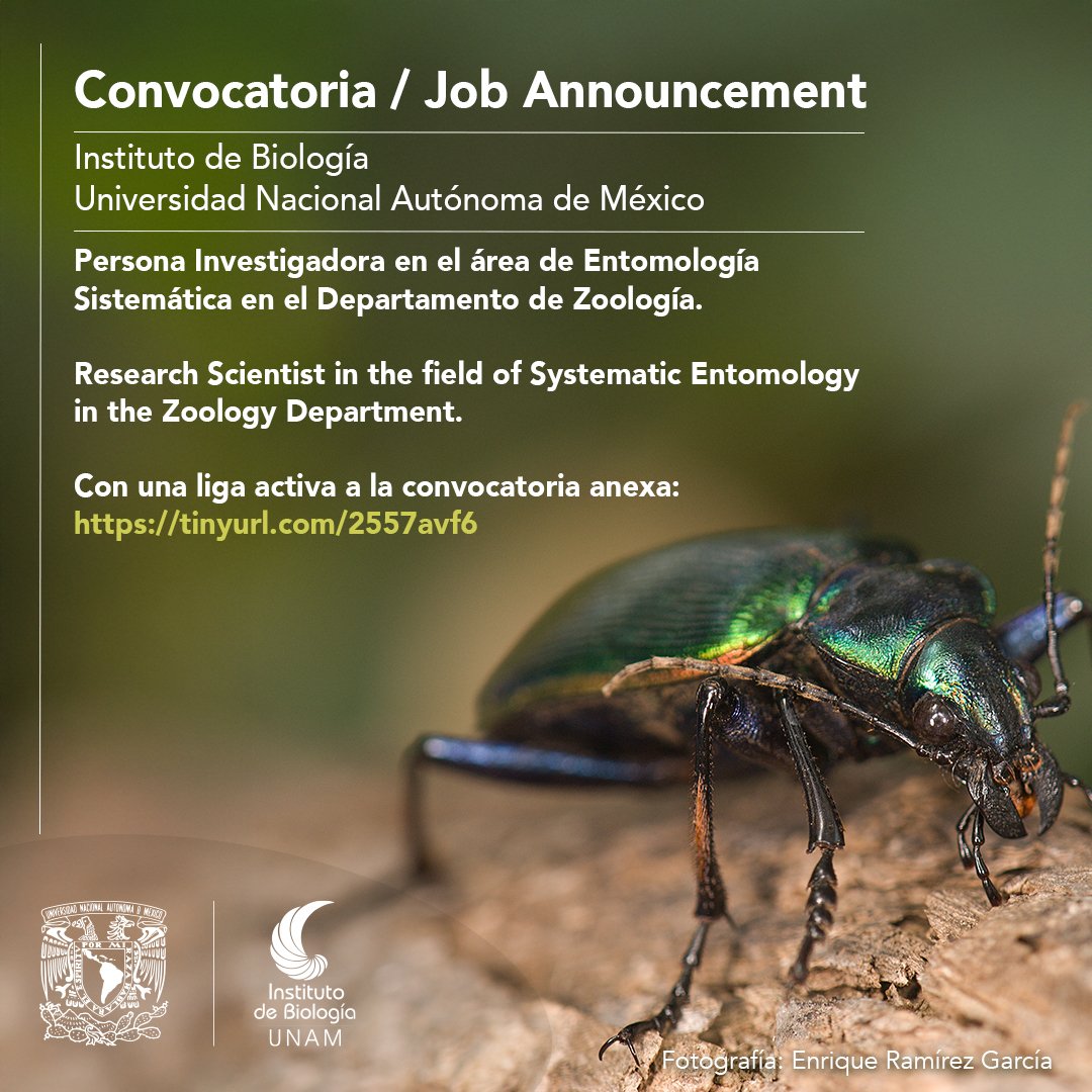 Convocatoria:
Del IBUNAM para una Persona Investigadora en el área de Entomología Sistemática en el Departamento de Zoología.

Job Announcement:
Research Scientist in the field of Systematic Entomology in the Zoology Department

Convocatoria en: tinyurl.com/2557avf6