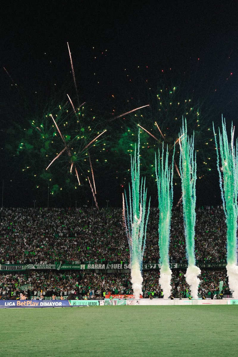 Si no sales campeón eso a mí no me importa YO SOY DE NACIONAL ESTÁ VIDA Y LA OTRA 💚