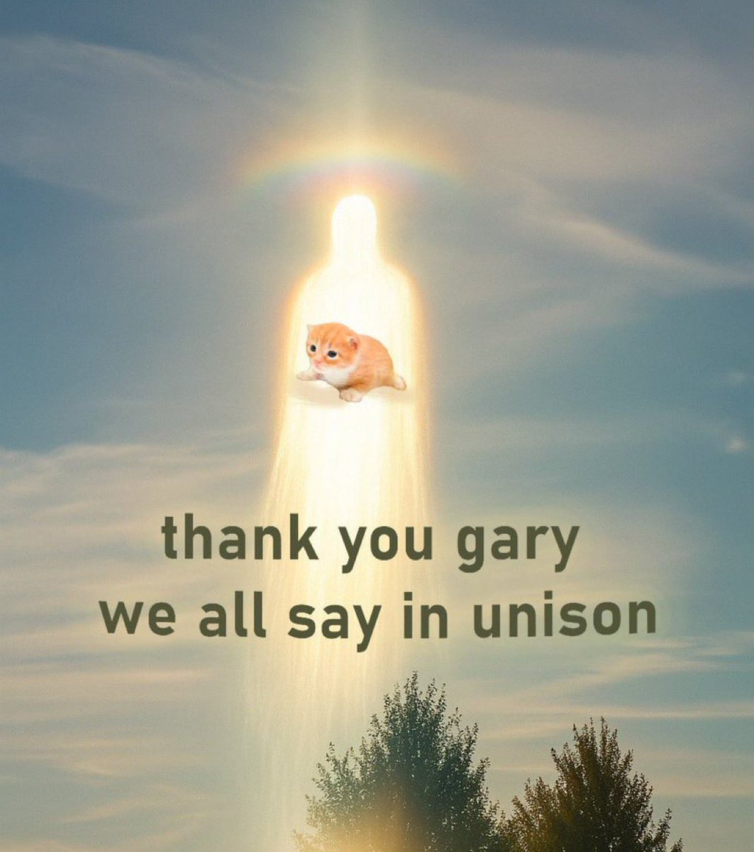 'thank you gary we all say in unison'라는 문구와 함께 천국으로 올라가는 새끼 고양이의 밈