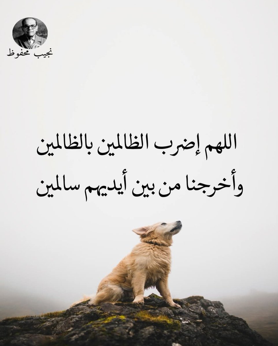 اللهم امين يارب العالمين 🌹