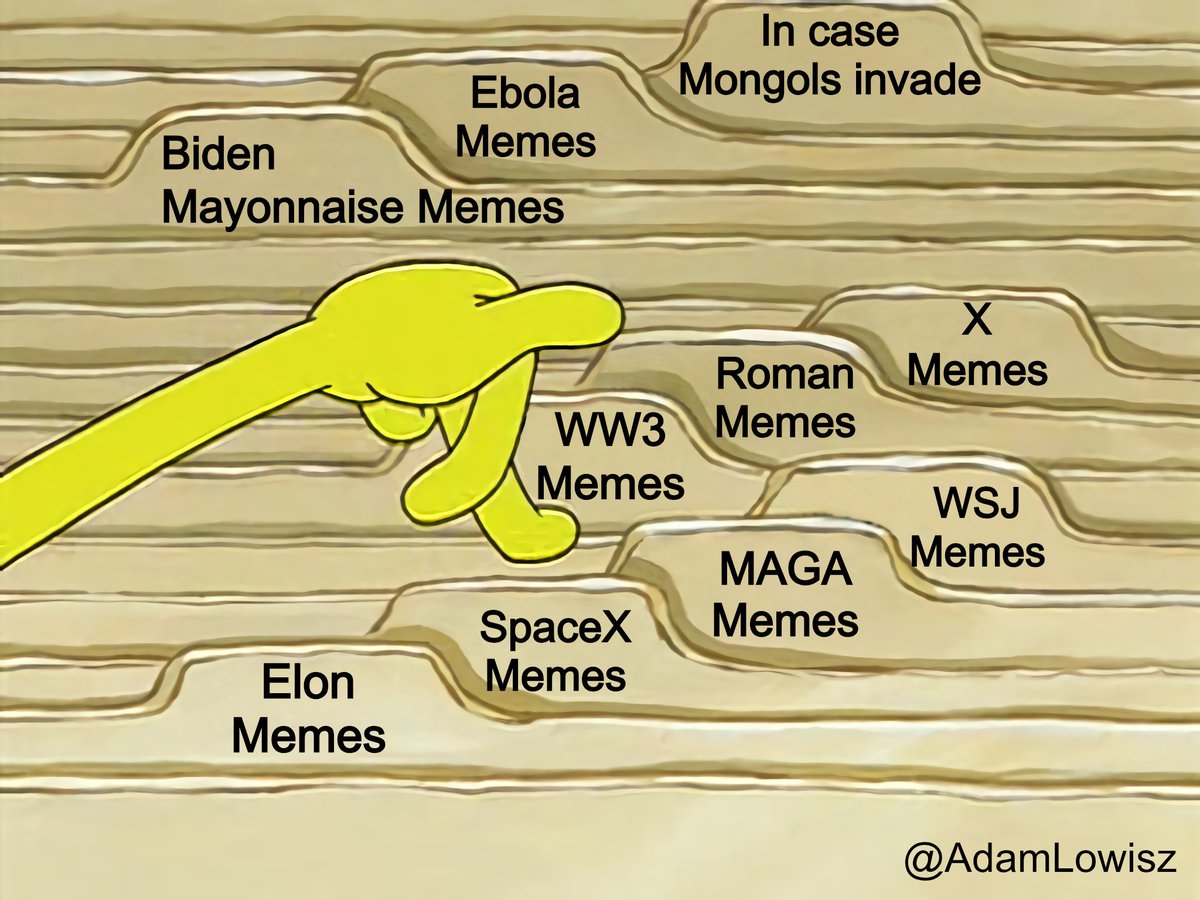 AdamLowisz's tweet image. Whatever happens next, I&apos;m ready for it 🤣