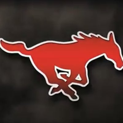 Hackerott Sport Training tweet media