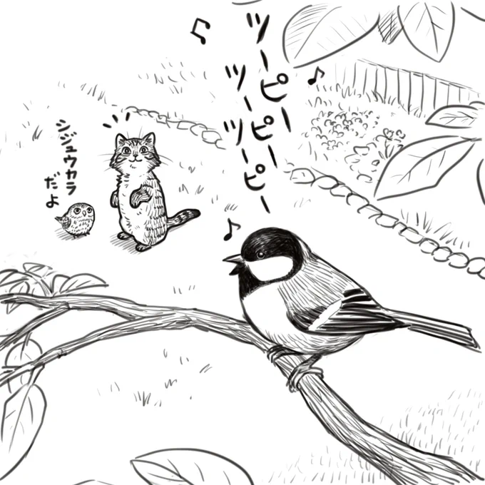 猫フク 小鳥 をpixivに投稿しました。
自分も「何の鳥の鳴き声だろう?」って思った実体験です😄

https://t.co/Gj3bOEI2oD 