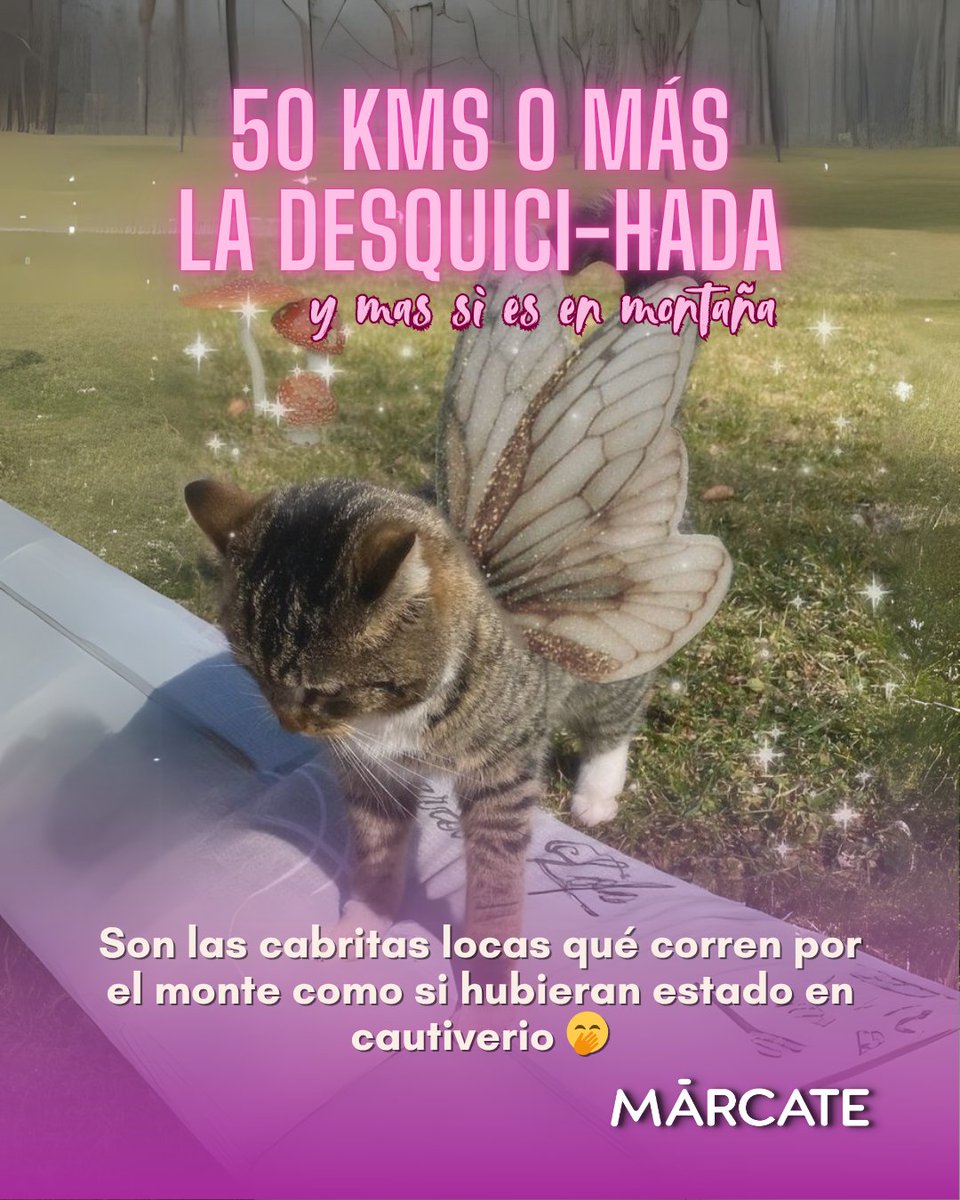 Va la parte 2 
Mis hadas corredoras del #MarcateTeam 💙 todos hemos sido algún tipo de hada (o varias) jajaja 

💬 comenta que hada eres? Y etiqueta a tu hada corredora favorita 

#marcate #cronometrajemarcate #comunidadmarcate