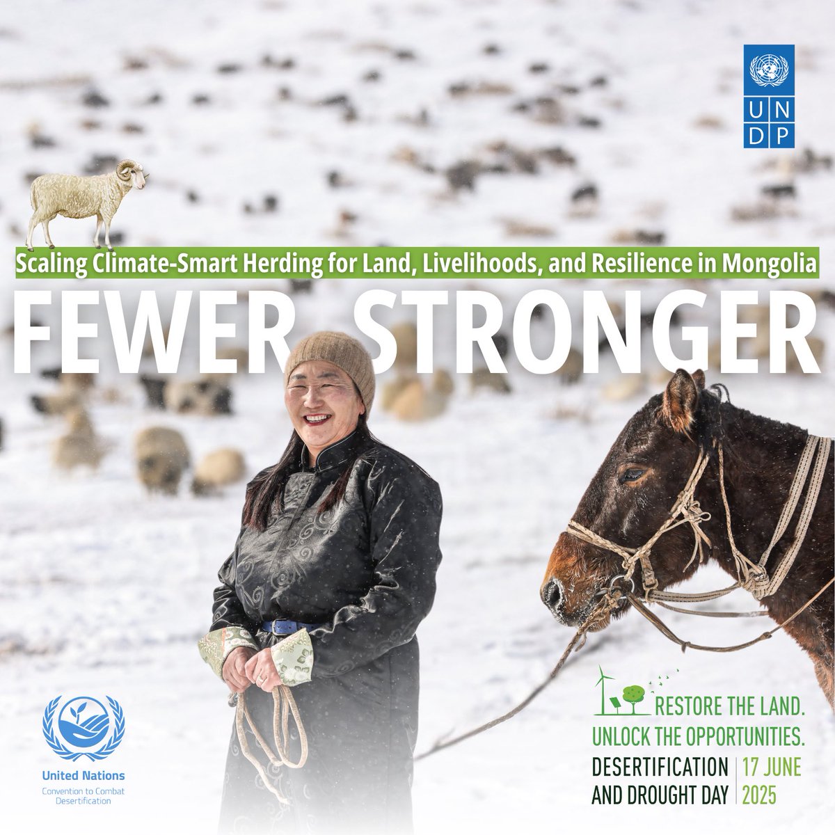 Fewer animals. Better quality. Greater economic value. This is new vision for herding in Mongolia 🇲🇳
 
See how Dolgorsuren is building resilient herding for land &amp; livelihoods, supported by <a href="/theGEF/">Global Environment Facility (GEF)</a>-funded #ENSURE project.
 
👉go.undp.org/3Eh

#DesertificationandDroughtDay