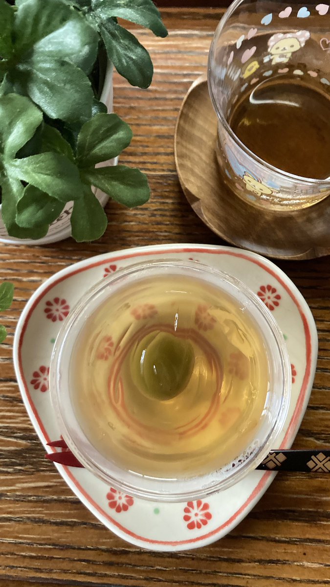 qx7dny's tweet image. #茶好連  #木漏れ日のお茶会 #大阪屋流れ梅　この前売り切れだったので、昨日は1番乗りで買えた「流れ梅」　子供の頃家族でこぞって何度もリピした懐かしい葛切りに再会🎶　黒豆麦茶で一息中　去年コロナになってシーズン終わってしまって買えなかったから嬉しい〜お供えできた