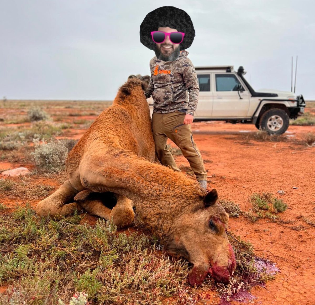 <a href="/weed_obnoxious_/">Innocent Tumbleweed</a> Revenge is a dish best served in the desert 🤌😂😂