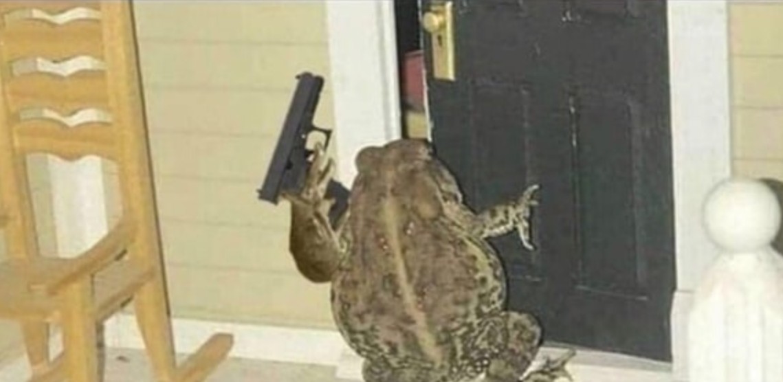TheReaper166's tweet photo. @kelseygrey23 Feel better soon! Hopefully the results of that brain scan thing will help clear things up. If you need someone posted up on your front door let me know😛 https://t.co/m58RnVr8eW