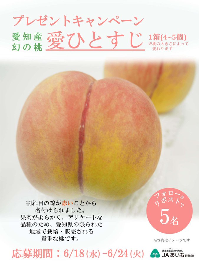 愛知産桃「愛ひとすじ」1箱(4～5個)を5名様にプレゼント ｜ 懸賞生活