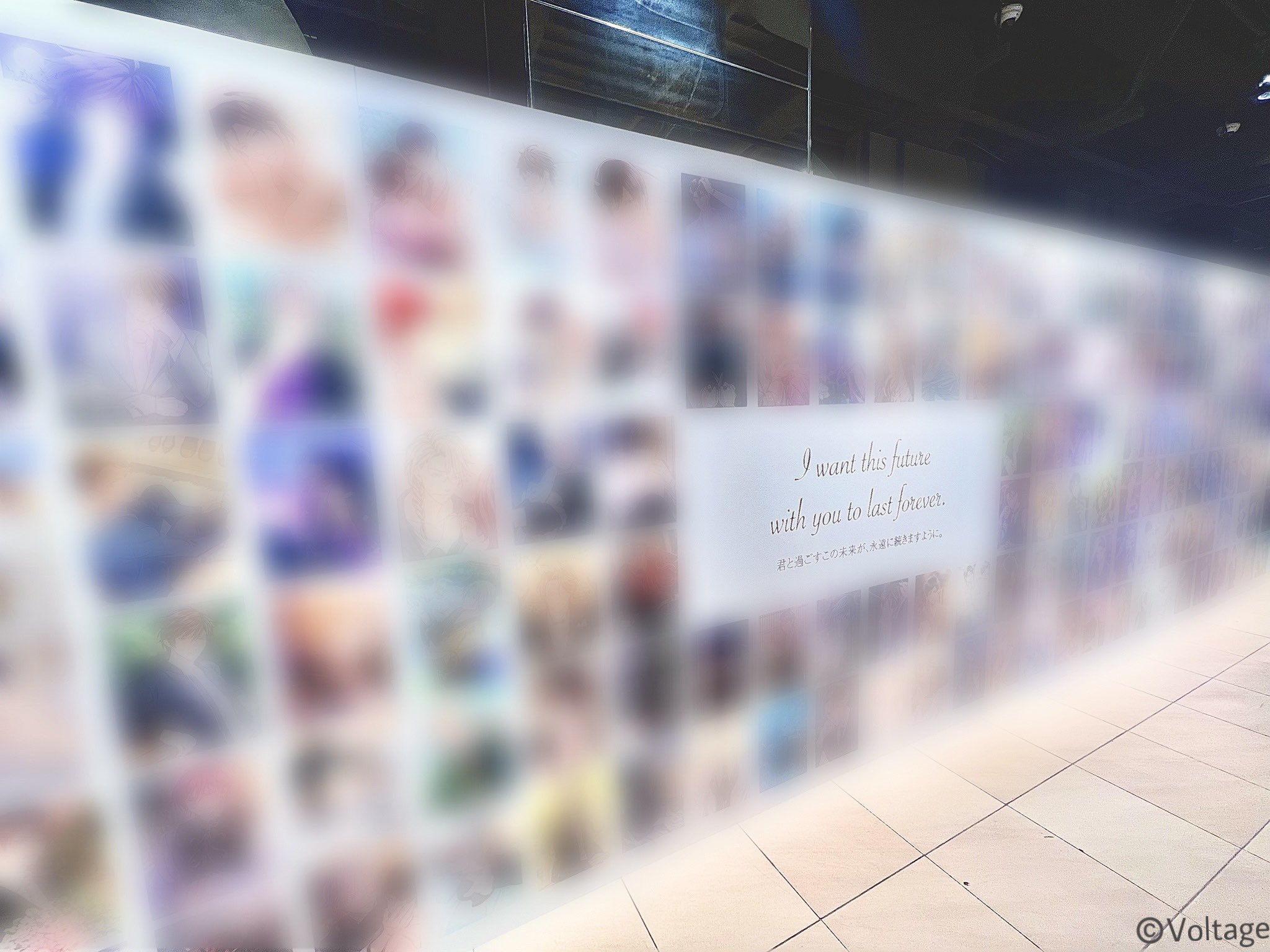 ボルフェス　レッドベルの慟哭　レドこく CHARACTERS｜レッドベルの慟哭