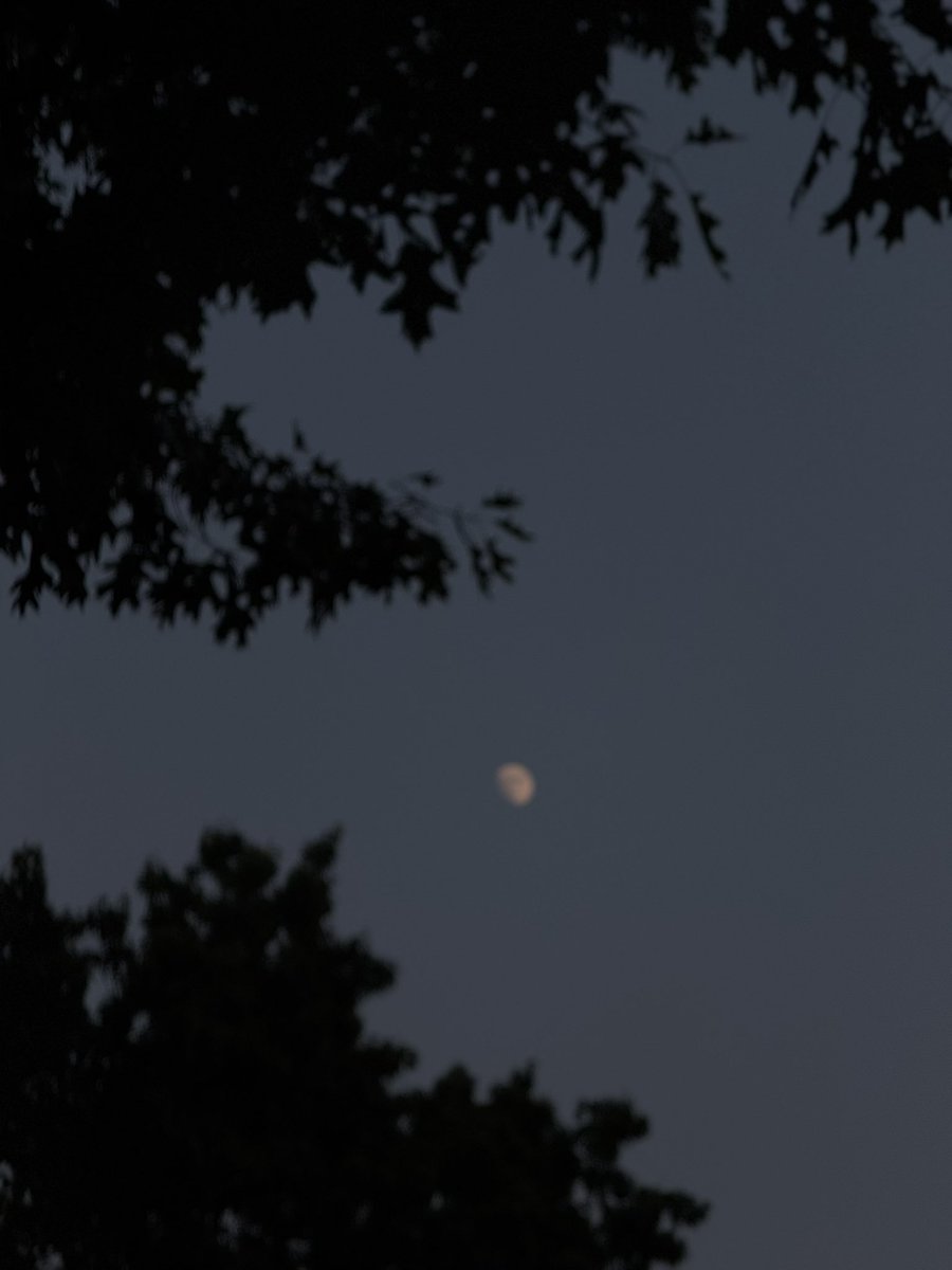 JeffBurpee's tweet image. Don’t be content to coast. 
Aim higher.
Work harder.
Do more to honor God.

Do your best to present yourself to God as one approved. — 2 Timothy 2:15