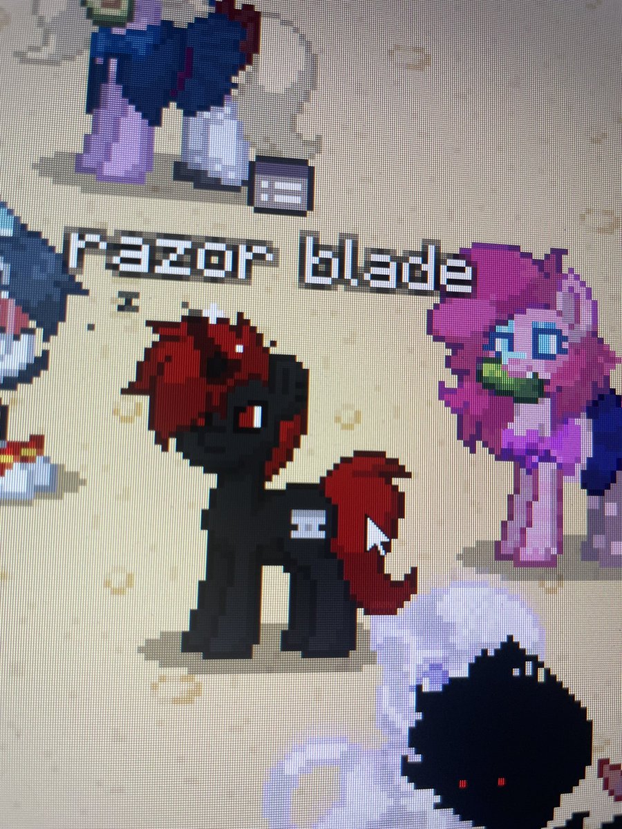 Met a celebrity in pony town today