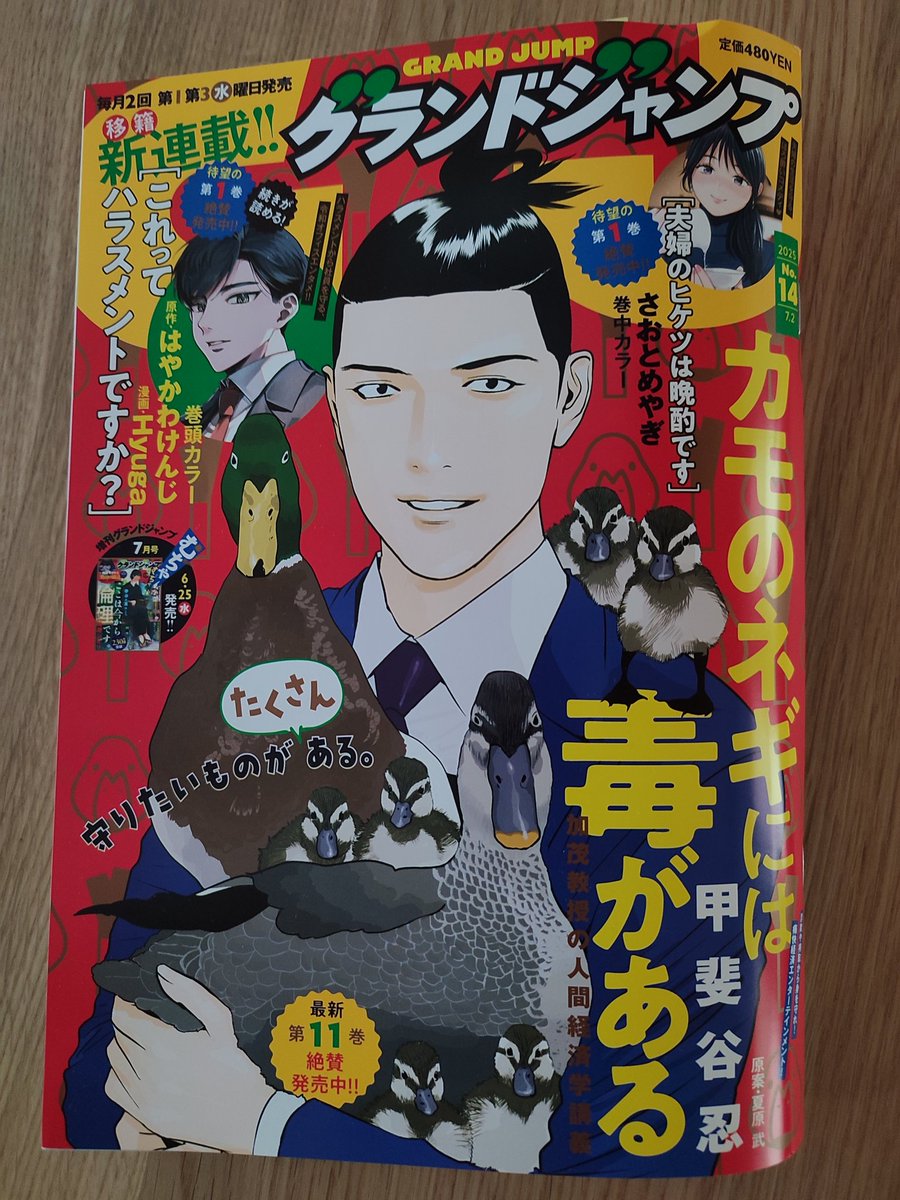 【漫画喫茶落ち】送料込 カモのネギには毒がある 1から10巻セット　甲斐谷忍 カモのネギには毒がある 加茂教授の人間経済学講義 10 (ヤング
