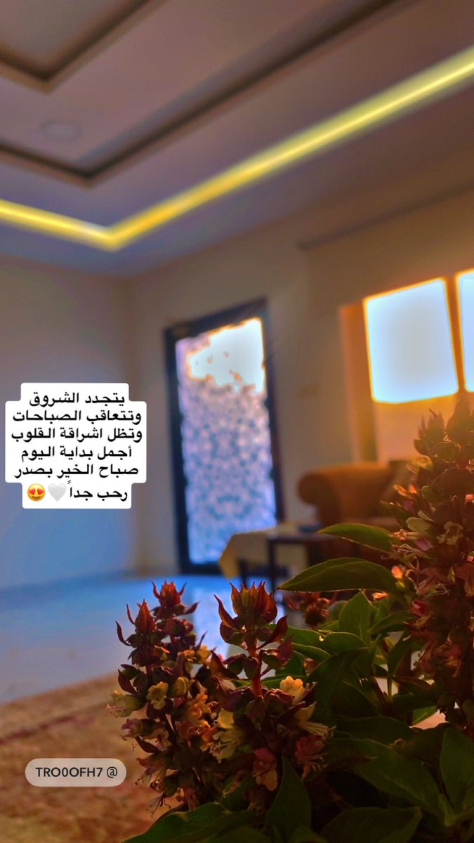 tro0ofh20's tweet photo. صباح الخير 😍🤍 https://t.co/KkcEguoiBK