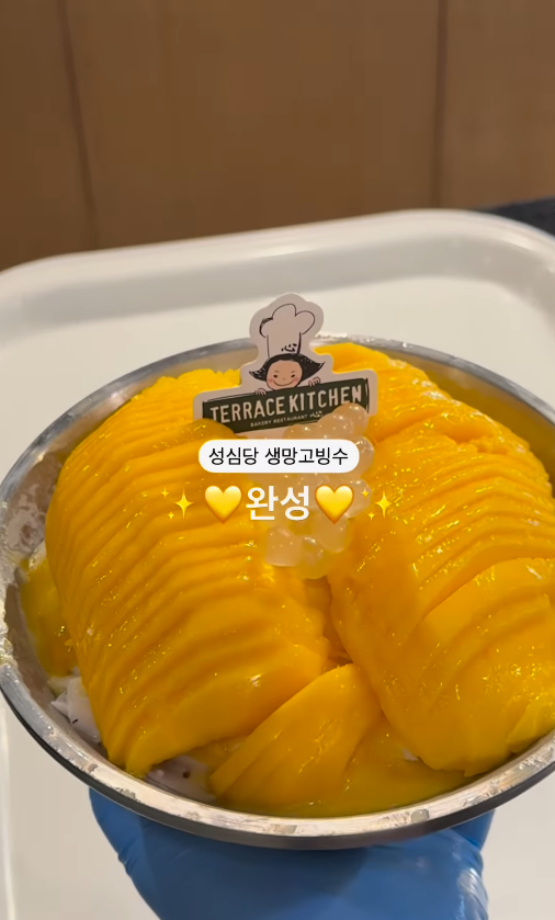 성심당에서 올해 여름부터 먹을 수 있는 생망고빙수
싱싱한 생망고 꽉 찼는데 가격 14000원밖에 안한다고