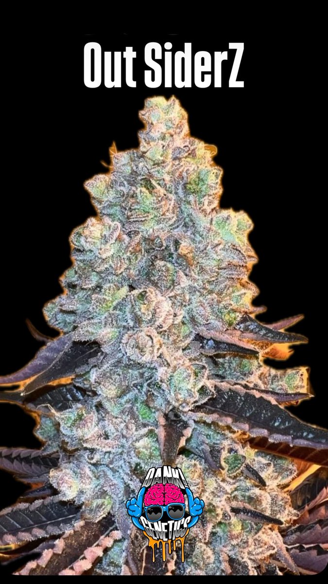 DankGenetics tweet media
