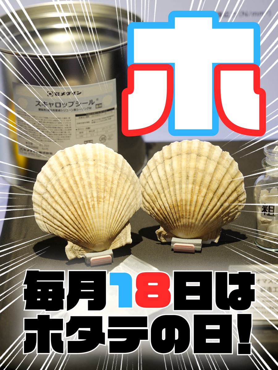 #環境にやさしい建設 を進める大林組🌏

なんと、ホタテの貝殻の利用も、その一つ。
建設資材として使うことを進めています。
皆さんが食べたホタテの貝殻も、どこかの建物で使われるかもしれません😋
#スキャロップシール #環境月間

visionshowcase.obayashi.co.jp/2025/solutions…