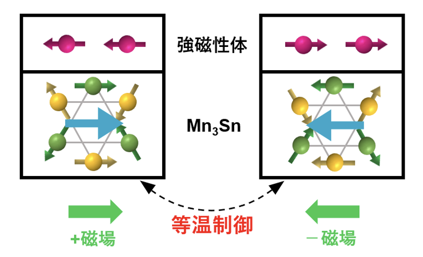 UTokyo_issp's tweet photo. 【研究成果】中辻教授らの研究チームは、ワイル反強磁性体Mn3Snと強磁性体を接合させた界面で、交換バイアス効果が現れること➡️⬅️を示しました
室温かつ外部磁場で制御でき、安定なため、この新たな磁気情報の制御は、次世代情報デバイスに向けた一歩となると期待されます🤗
https://t.co/v0C3gqep1s https://t.co/OpjohE78BZ