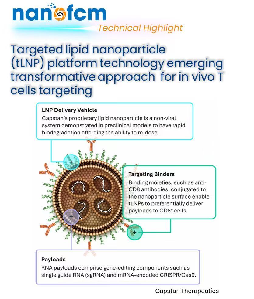 NanoFCM (@nano_fcm) on Twitter photo Capstan's LNP tech delivers CAR mRNA to blood T cells in vivo, skipping ex vivo steps. Challenges: protein corona & T cell uptake barriers. Benefits: faster/cheaper, wider cancer applicability, transient CAR expression. #CARTcell #LNPs #mRNAtherapy Capstan's LNP tech delivers CAR mRNA to blood T cells in vivo, skipping ex vivo steps. Challenges: protein corona & T cell uptake barriers. Benefits: faster/cheaper, wider cancer applicability, transient CAR expression. #CARTcell #LNPs #mRNAtherapy