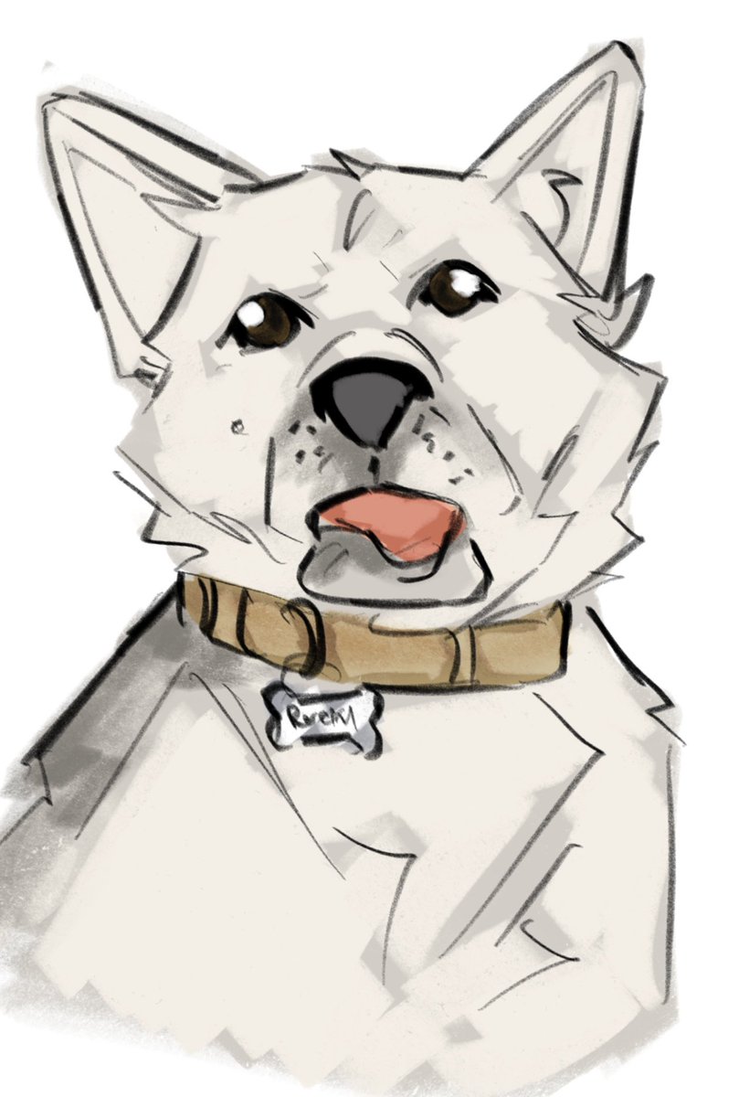 jacksafterhours's tweet photo. this is rocky the sole reason I COULDNT GET TO DRAW TODAY

His favorite snacks are ethernet cords 😋

No he is not okay poor guy has 2 functioning brain cells

/yes my gremlin is okay https://t.co/L1ilT4kRZP