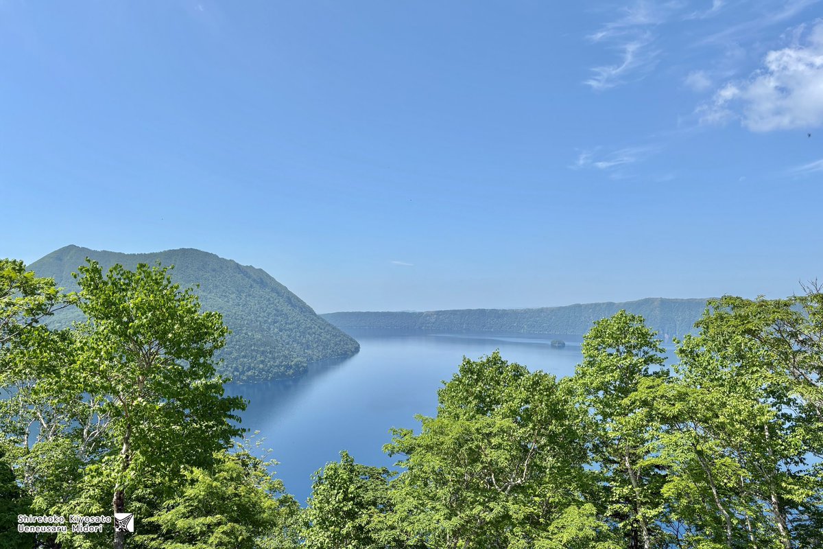 今日の裏摩周展望台🧸✨☀️