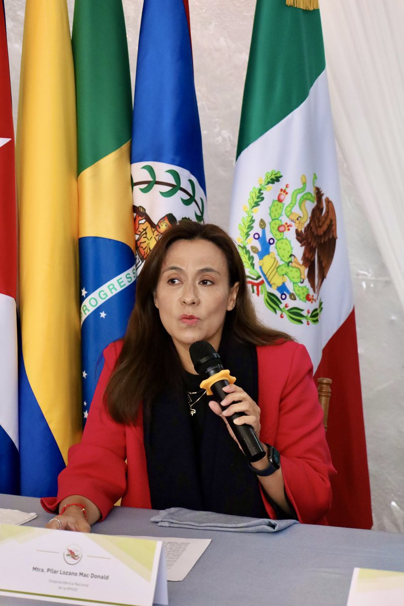 Amaie_Mexico's tweet photo. @Paloma__PG @Memo_Zamora @SRE_mx @cibelaus @pmonroyconesa @Pilarlozanomd 12/🧵 "La #AMAIE nació con la convicción de que los gobiernos subnacionales tienen un papel estratégico en la proyección internacional de México" -@Pilarlozanomd, @Amaie_Mexico https://t.co/NHxHJPRwkm
