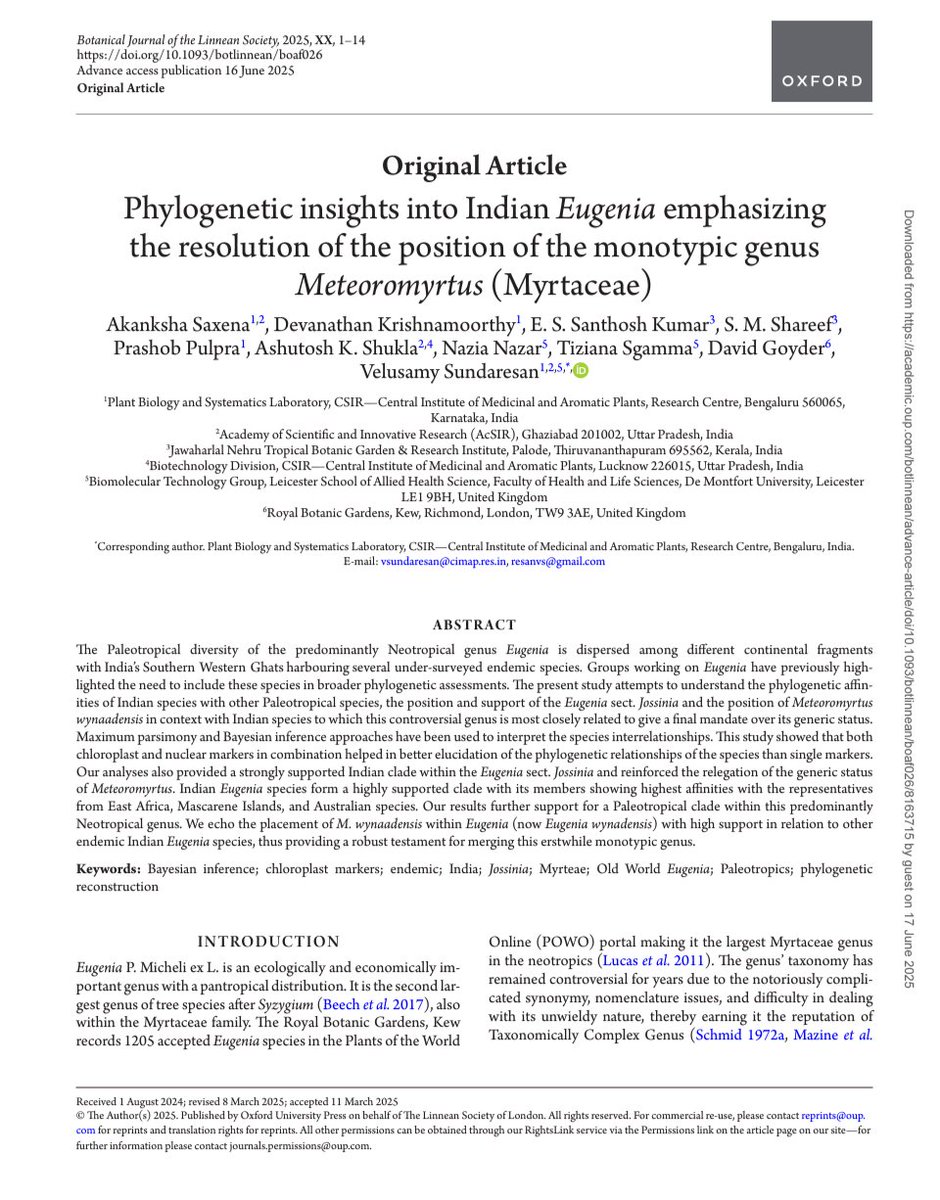 Sundaresan Velusamy (@resanvs) on Twitter photo Our paper on "Phylogenetic Insights into Indian Eugenia" published in the Botanical Journal of the Linnean Society <a href="/PrabodhTrivedi/">Prabodh Trivedi</a> <a href="/ProfAnilKumarT1/">Anil K Tripathi</a> <a href="/alokkalra16/">Alok</a> <a href="/tiziana_sgamma/">Tiziana Sgamma</a> <a href="/CSIRCIMAP/">CSIR-CIMAP</a> <a href="/DirectorCimap/">Director, CSIR-CIMAP</a> Our paper on "Phylogenetic Insights into Indian Eugenia" published in the Botanical Journal of the Linnean Society <a href="/PrabodhTrivedi/">Prabodh Trivedi</a> <a href="/ProfAnilKumarT1/">Anil K Tripathi</a> <a href="/alokkalra16/">Alok</a> <a href="/tiziana_sgamma/">Tiziana Sgamma</a> <a href="/CSIRCIMAP/">CSIR-CIMAP</a> <a href="/DirectorCimap/">Director, CSIR-CIMAP</a>