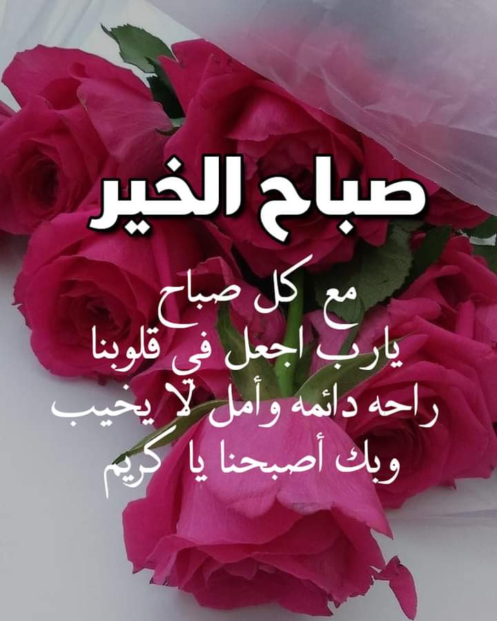 اللهم اجعله صباح خير وسعاده وهداة البال🌺
اصبحنا واصبح الملك لله 🌺 صباح الياسمين  
والفل والعنبر🌺صباحكم ورد وود🩷❤️🩷