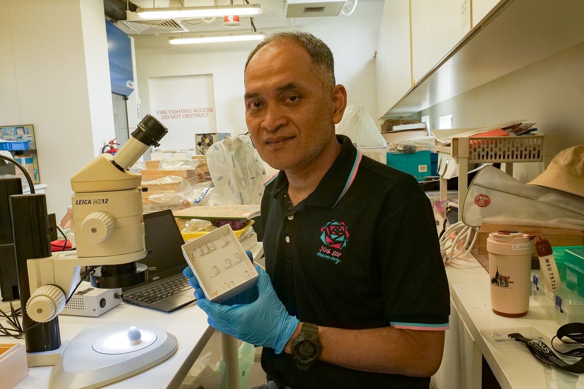 lkcnhm's tweet image. We are pleased to host Dr Weeyawat Jaitrong from the Thai Natural History Museum, National Science Museum, Thailand, and his PhD student Ms Kuntima Yodprasit from 15 to 28 June. They had come to examine ant specimens in the ZRC. We hope they have a pleasant visit here!