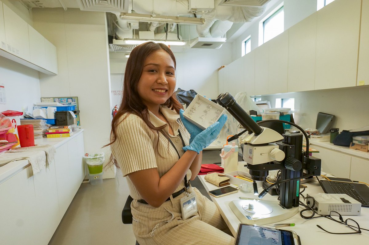 lkcnhm's tweet image. We are pleased to host Dr Weeyawat Jaitrong from the Thai Natural History Museum, National Science Museum, Thailand, and his PhD student Ms Kuntima Yodprasit from 15 to 28 June. They had come to examine ant specimens in the ZRC. We hope they have a pleasant visit here!