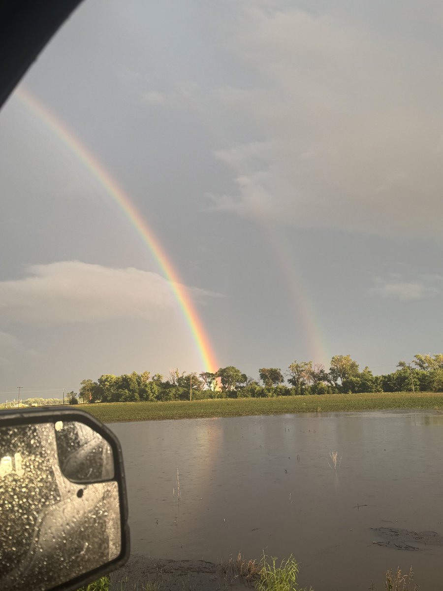 gregpeterson33's tweet image. 3 more inches rain puts us over 10 for the last month I think. Such a change of pace from the last 3 years of drought! Truly thankful.