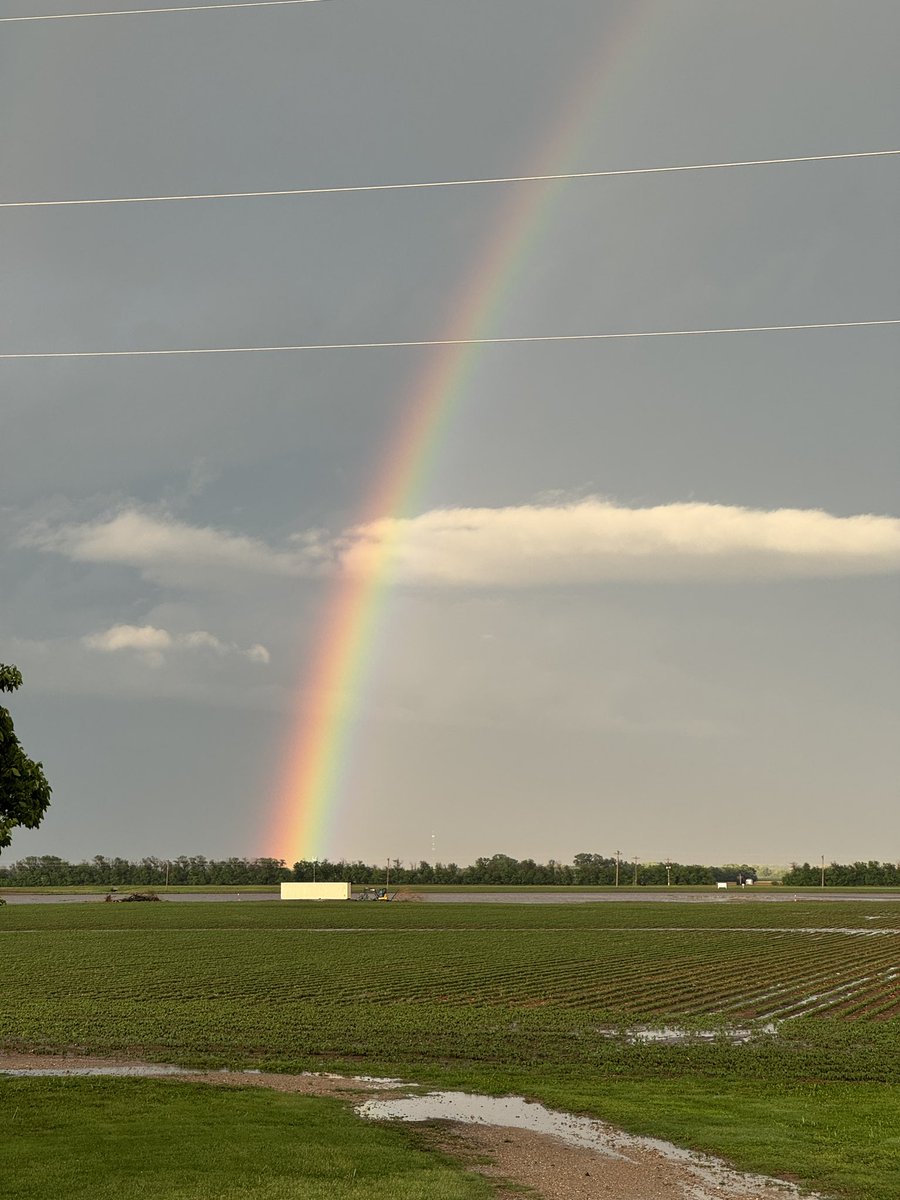 gregpeterson33's tweet image. 3 more inches rain puts us over 10 for the last month I think. Such a change of pace from the last 3 years of drought! Truly thankful.