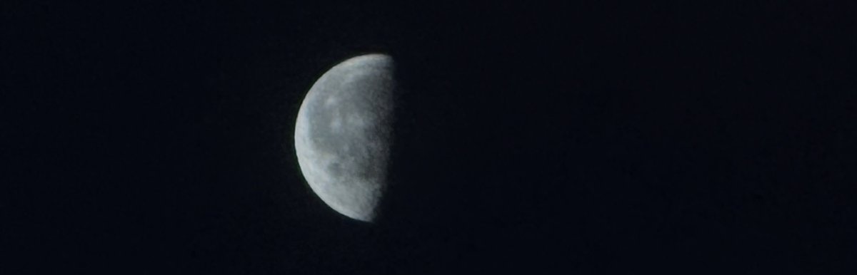 Schrödinger's cat tweet media